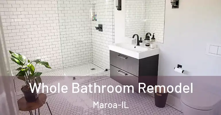 inner Bathroom imggen Whole Bathroom Remodel Maroa-IL