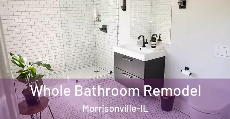 inner Bathroom imggen Whole Bathroom Remodel Morrisonville-IL