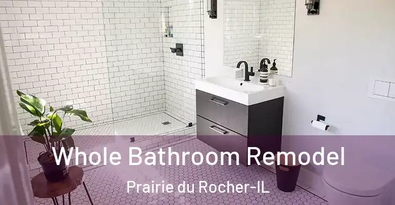 inner Bathroom imggen Whole Bathroom Remodel Prairie du Rocher-IL