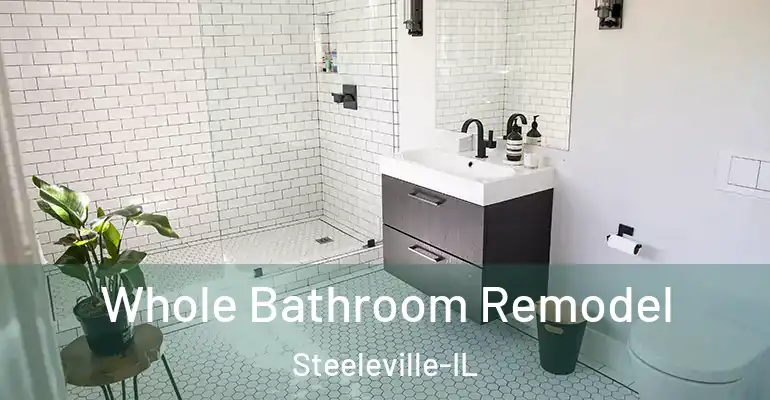 inner Bathroom imggen Whole Bathroom Remodel Steeleville-IL