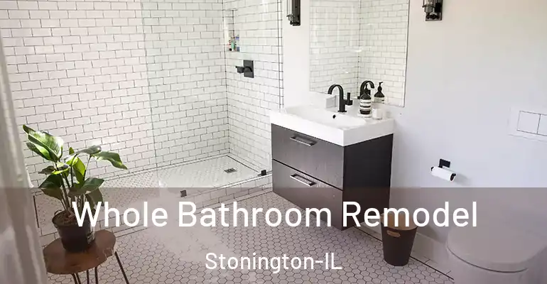 inner Bathroom imggen Whole Bathroom Remodel Stonington-IL
