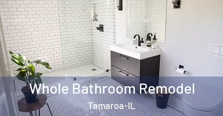 inner Bathroom imggen Whole Bathroom Remodel Tamaroa-IL