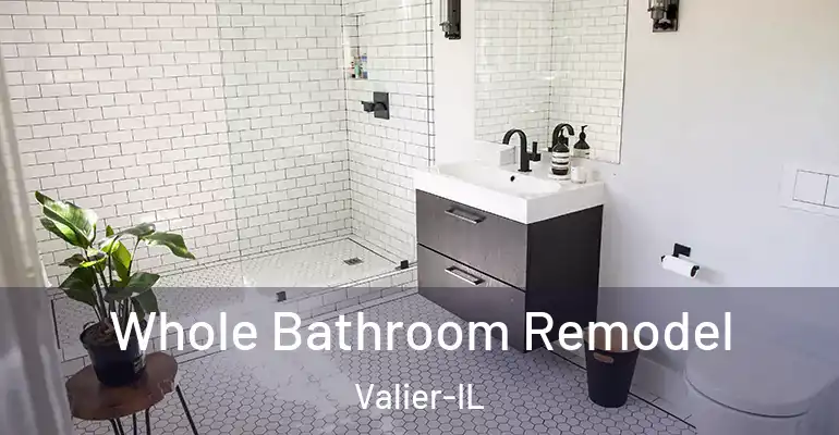 inner Bathroom imggen Whole Bathroom Remodel Valier-IL