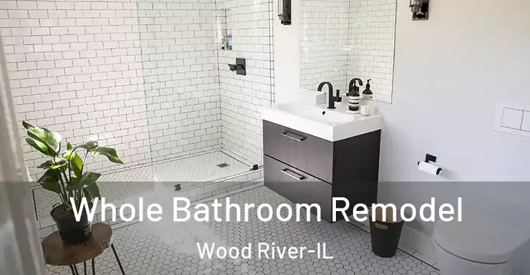 inner Bathroom imggen Whole Bathroom Remodel Wood River-IL